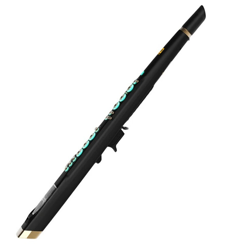 Musical Instrument You Blow Into - C20 gerçek örneklemeli yerli üst düzey