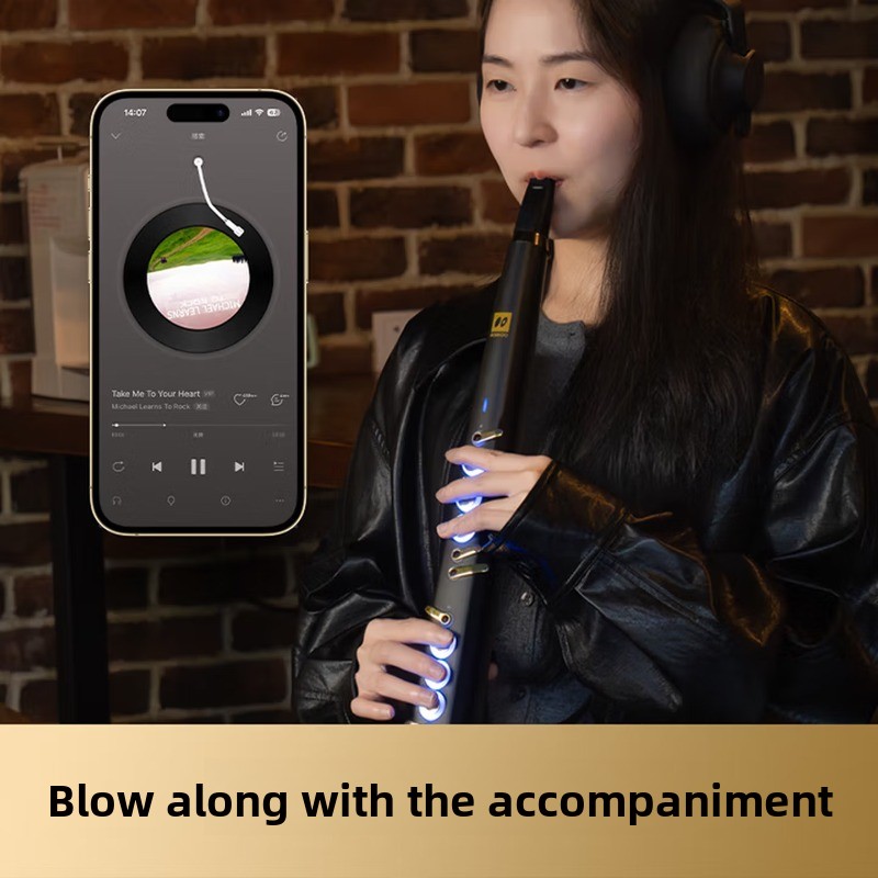 C20 gerçek örneklemeli yerli ü - Musical Instrument You Blow Into incelemesi ve fiyatı