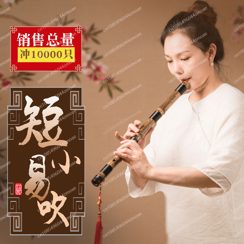 Profesyonel oyun flütü tek bam - Musical Instrument You Blow Into incelemesi ve fiyatı